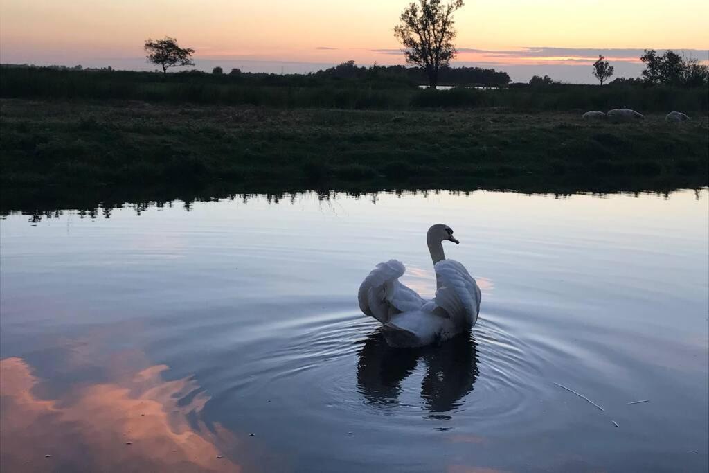 Romantic Dutch Hideaway Jisp Esterno foto